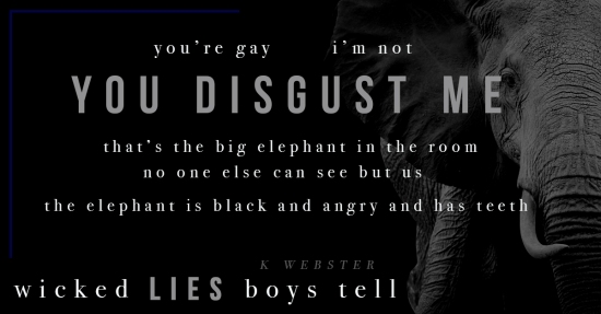 Wicked Lies Boys Tell Teaser 5